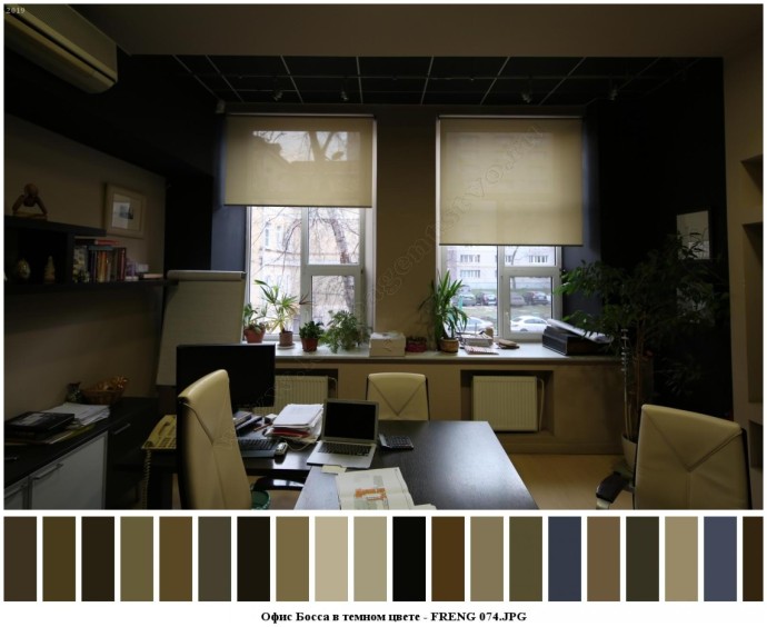 Офис босса в темном цвете для съемок 6