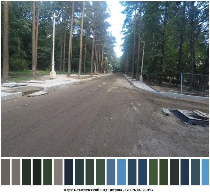 Парк ботанический сад цицина для съемок 5