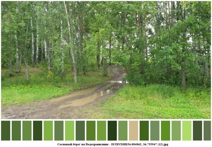 Сосновый берег на водохранилище для съемок 11 Сосновый берег на водохранилище для съемок 11