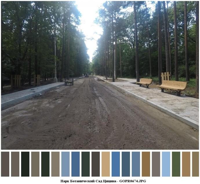 Парк ботанический сад цицина для съемок 7