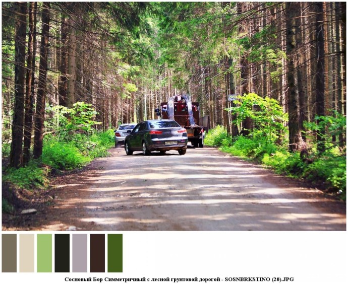 Сосновый бор симметричный с лесной грунтовой дорогой для съемок 17