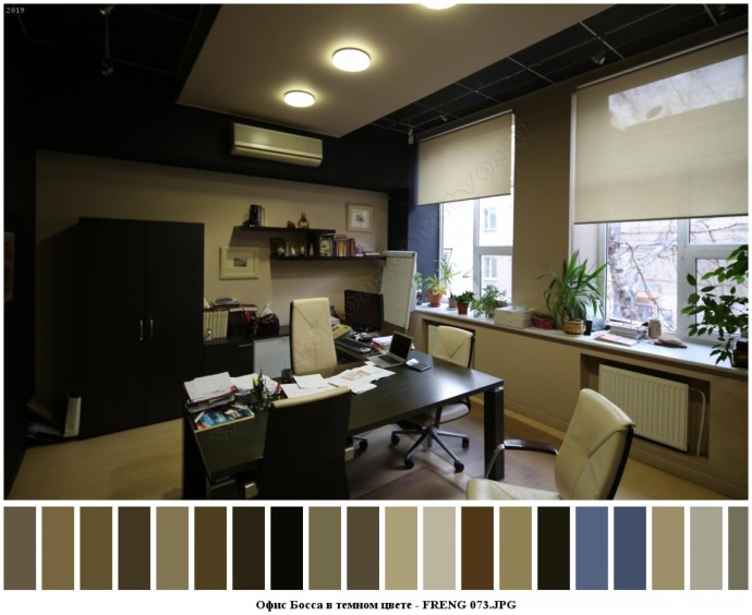 Офис босса в темном цвете для съемок 5